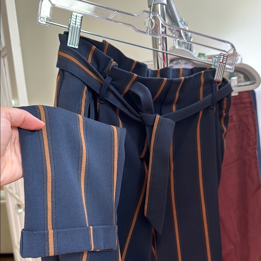 Zara Navy and Tan Striped Trousers